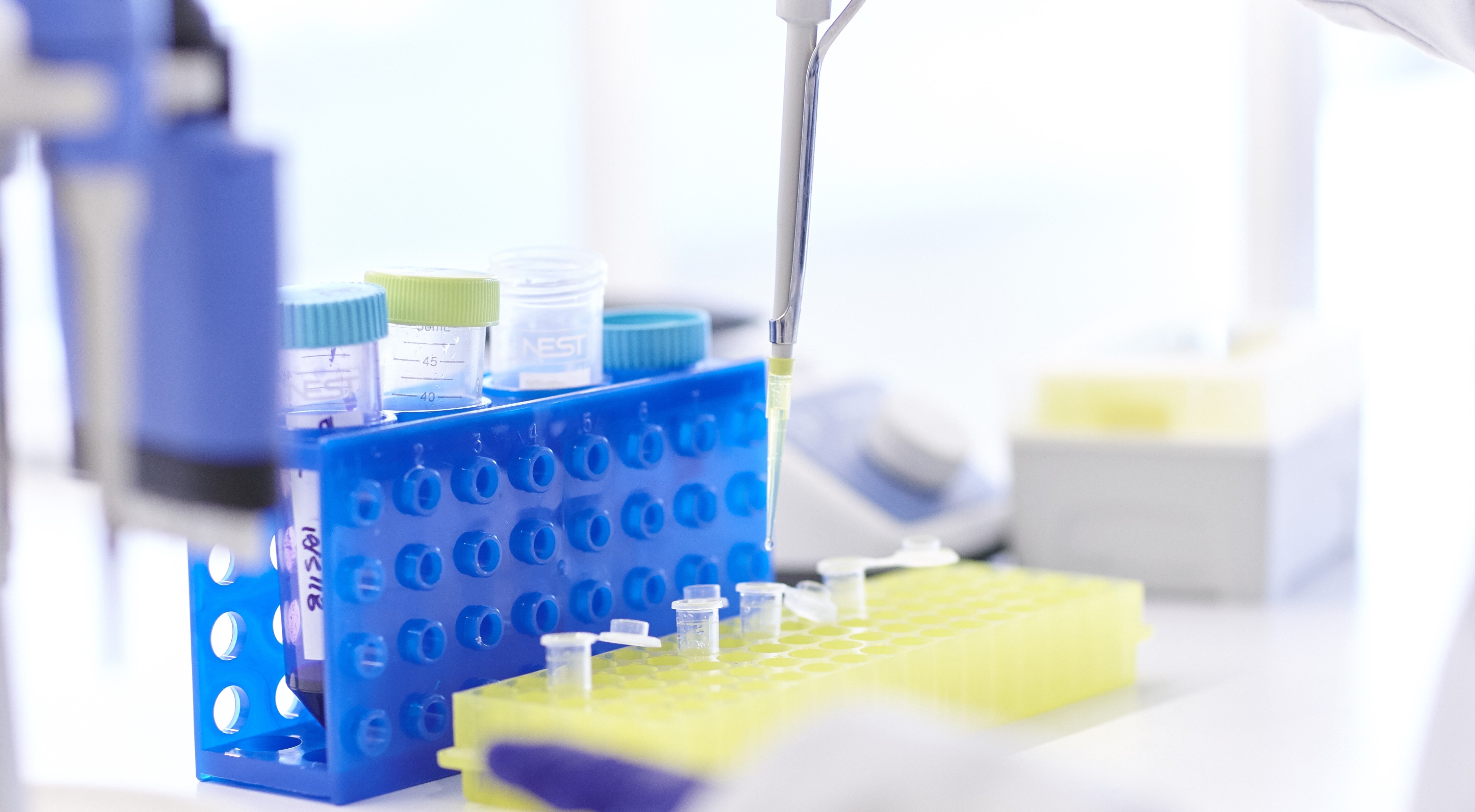 Facultad de Ciencias